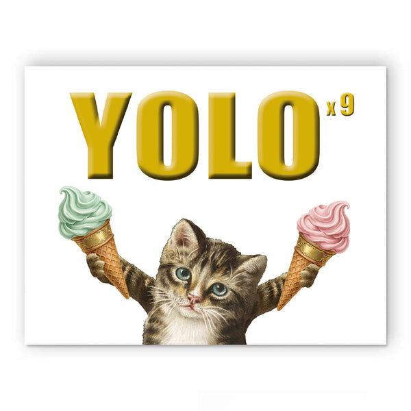 Card - Birthday - Yolo Cat - 3070yol