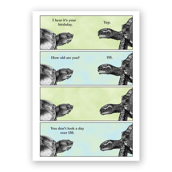 Card Birthday - Turtle Birthday - 3026tur